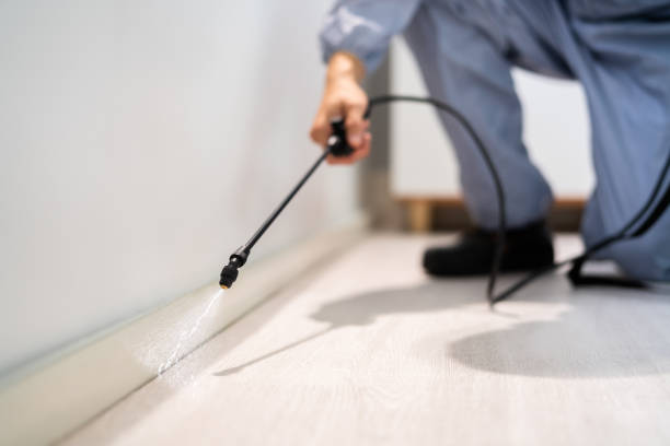 Licensed Termite Control service in Port Orchard, WA - Show Me Pest Control